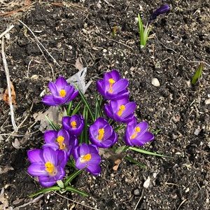 Meet your Posher, Becky